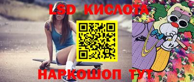 шишки Будённовск