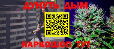 шишки Будённовск