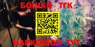 шишки Будённовск