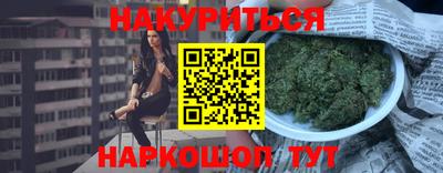 шишки Будённовск