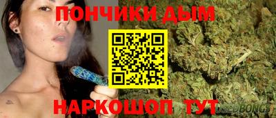 шишки Будённовск